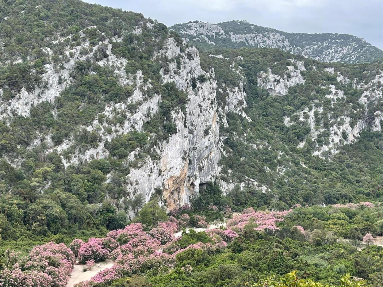 Hotel Sa Troppa De Sos Chentu Dorgali Exterior foto